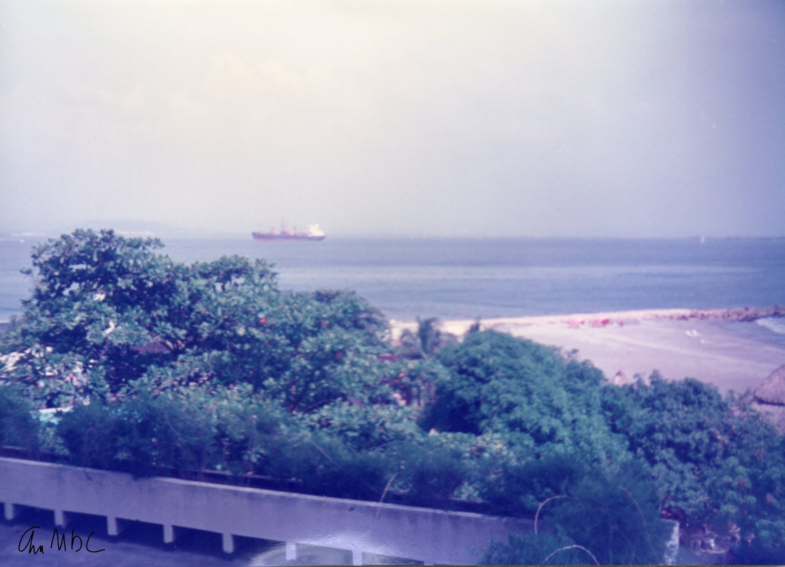 Trees, ship, sea