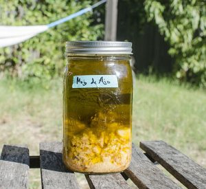 Glass container with settled chopped garlic in a yellowish liquid under the sun.