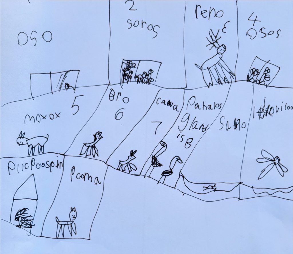 Sabina’s bilingual writing production: 1. Oso (=bear), 2. Zorros (=foxes), 3. Reno (=Elk), 4. Osos (=bears), 5. Muskox, 6) Burro (=donkey), 6) Cabra (=goat), 8. Pájaros Grandes (=big birds), 9. Sapo (=toad), 10. Libélula (=dragón fly), 11. Puercoespín (=porcupine), 12. Puma (=mountain lion)